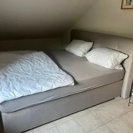 Appartement Panorama House Winterburg